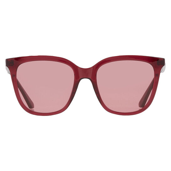 Calvin Klein  Burgundy Butterfly Ladies Sunglasses