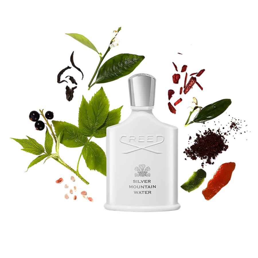 Silver Mountain Water|100ML