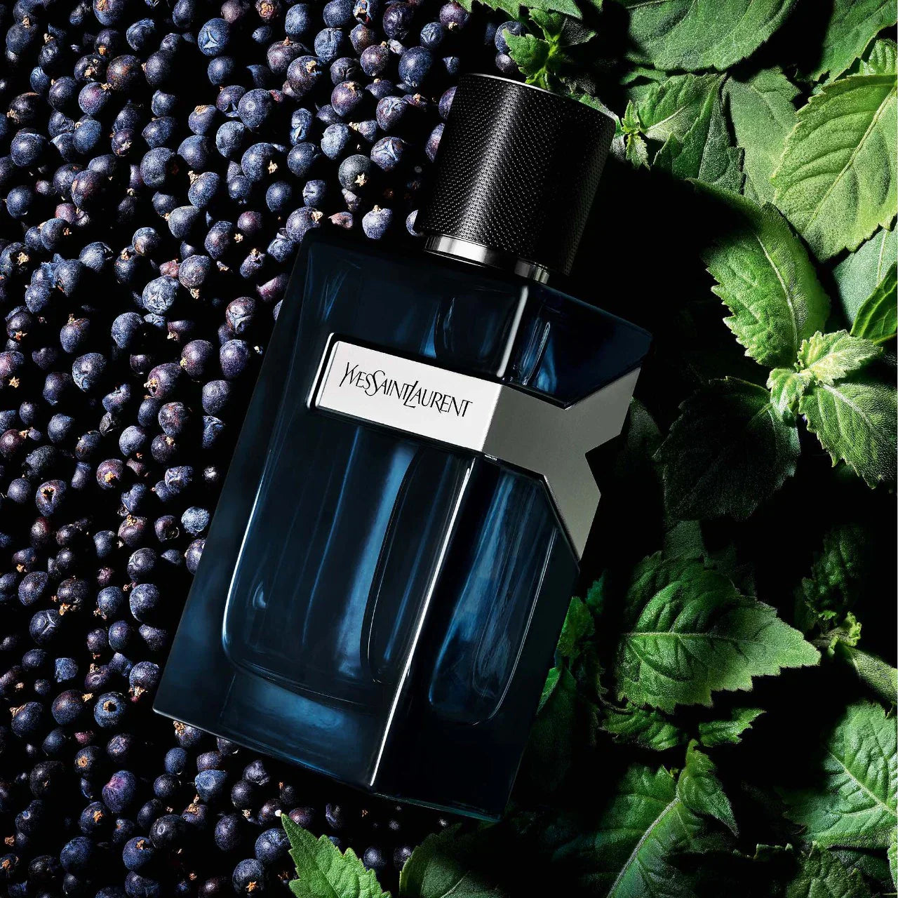 Spicy Juniper Berries & Fresh Lavender|100ML