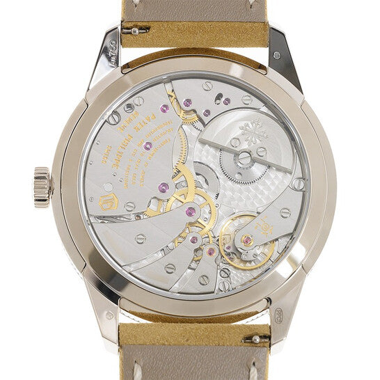 Patek Philippe Complications Automatic Charcoal Gray Men's Watch