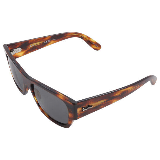 Ray Ban Carlos Polarized Black Rectangular Unisex Sunglasses