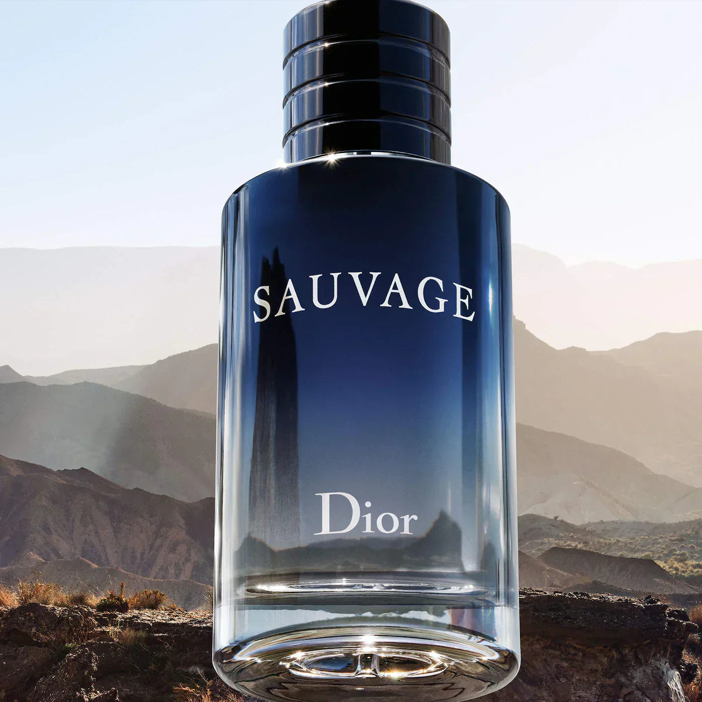 Sauvage Eau de Toilette|100ML