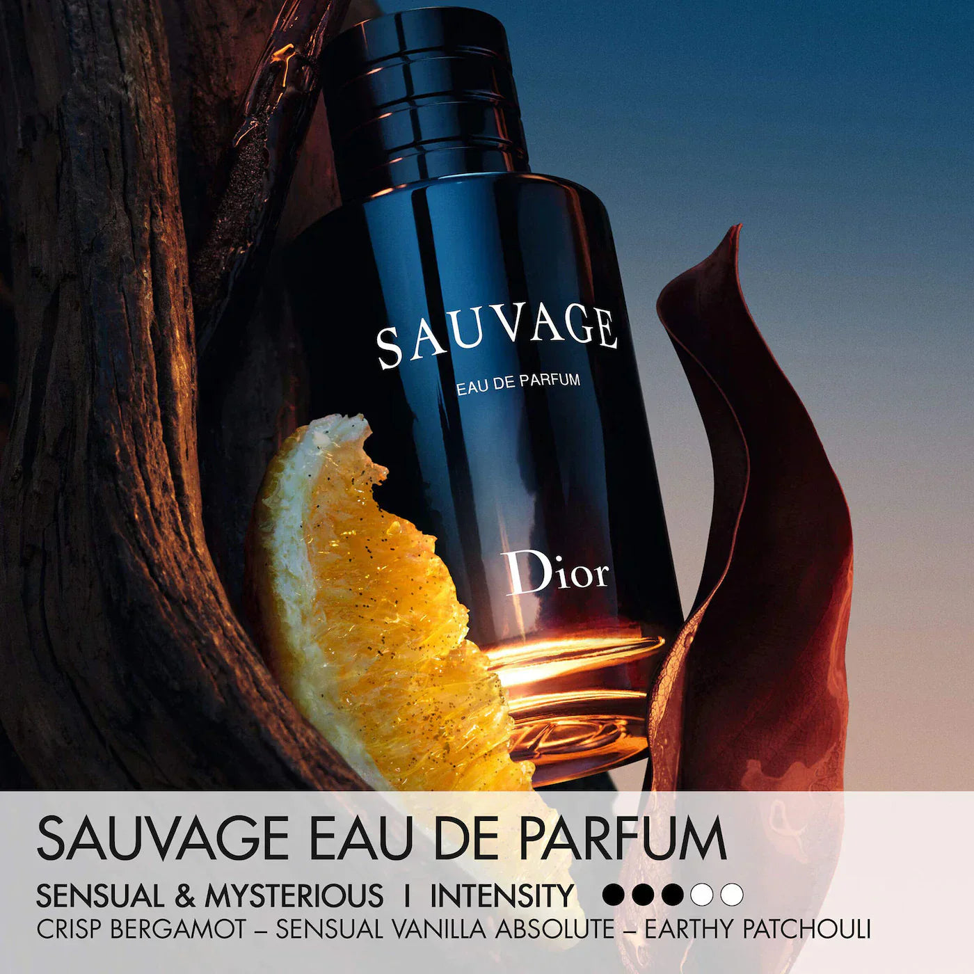Sauvage Eau de Parfum|100ML