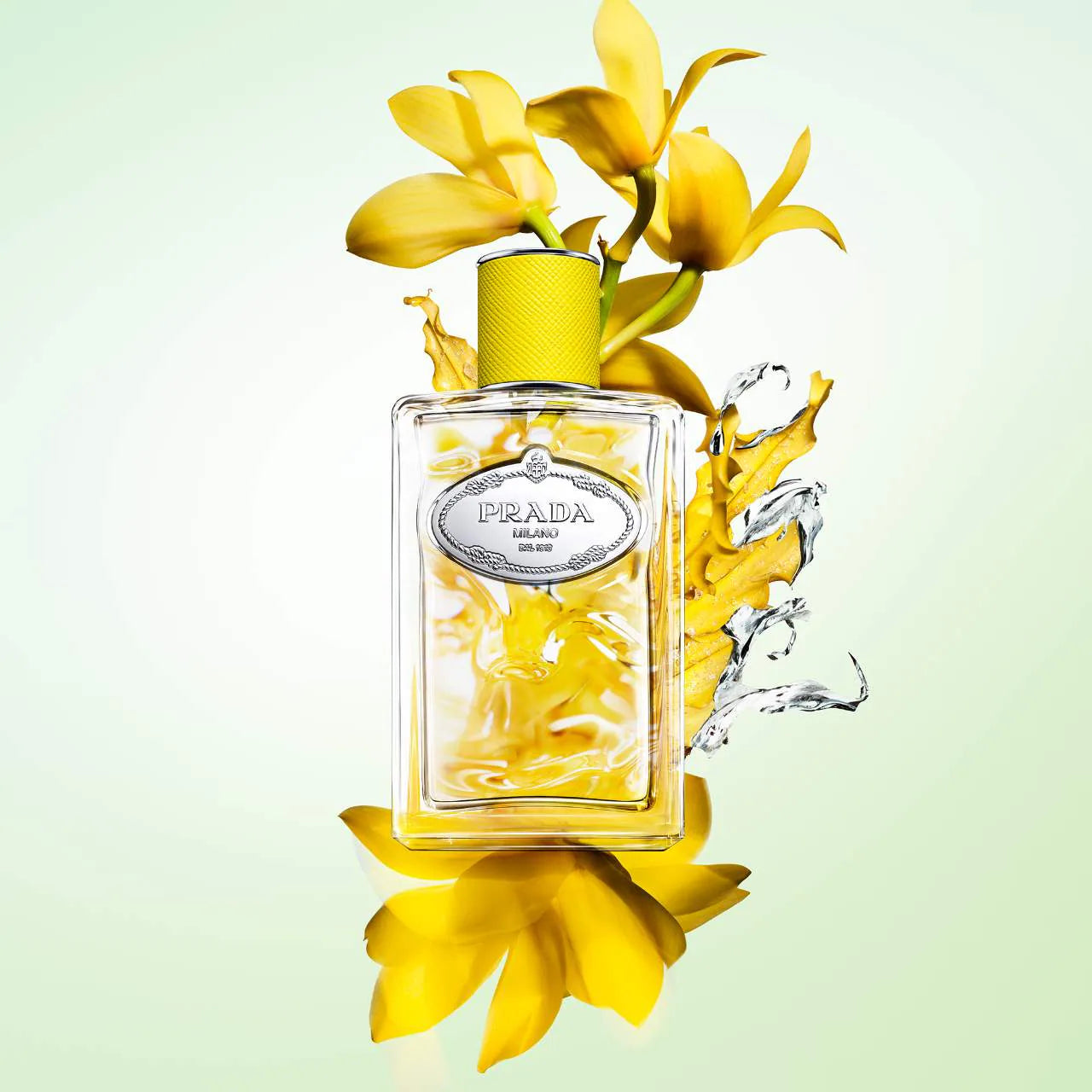 Infusion d'Ylang|100ML