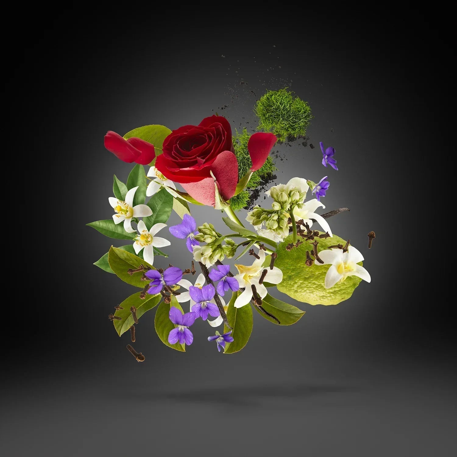 P.13 Limited Edition|100ML